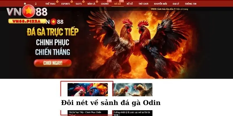 Đôi nét về sảnh đá gà Odin